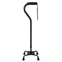 Quad Canes